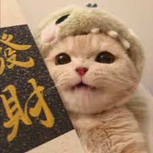 Ảnh đại diện Minh Quân