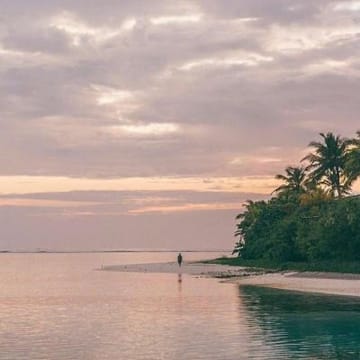 Ảnh đại diện Anika